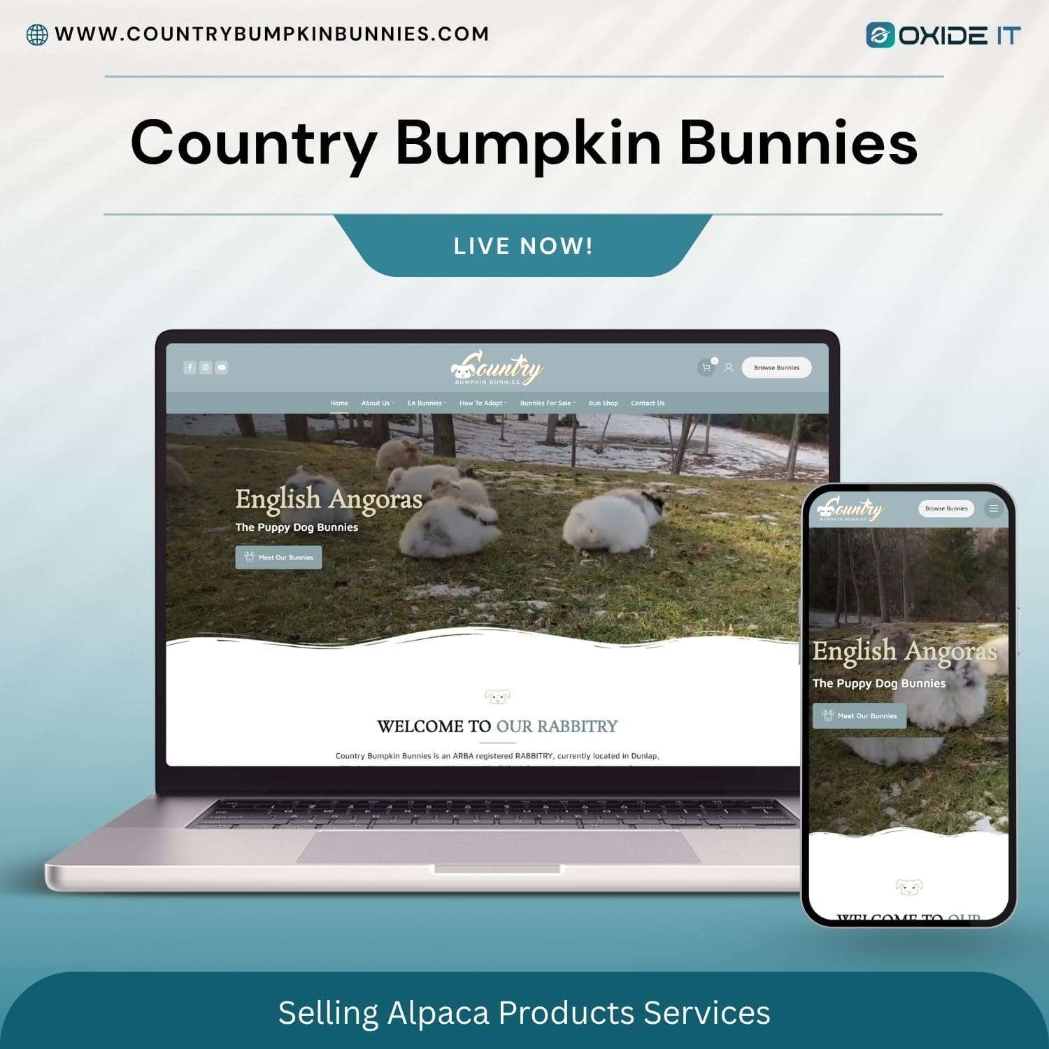 Country Bumpkin Bunnies