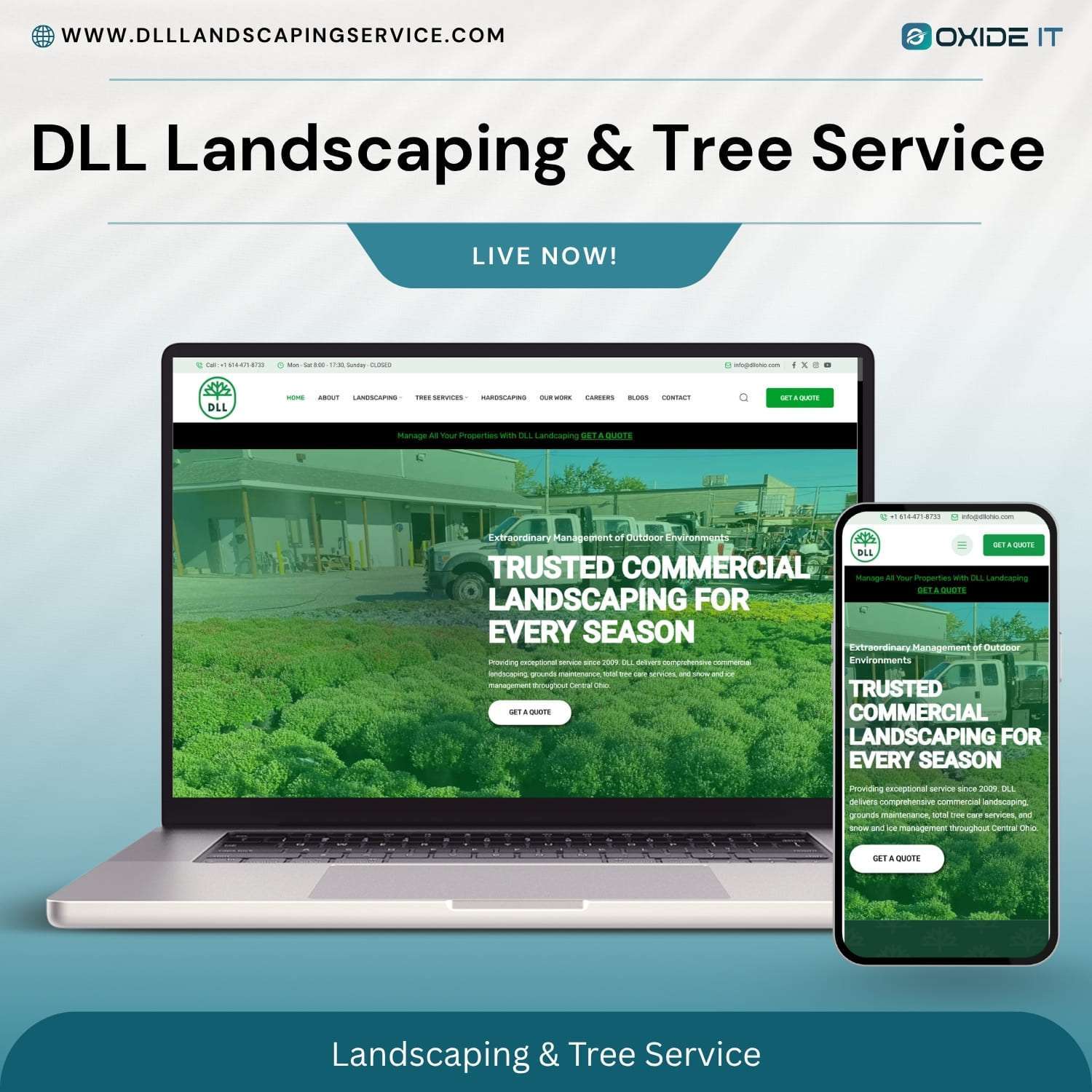 DLL Landscaping & Tree Service