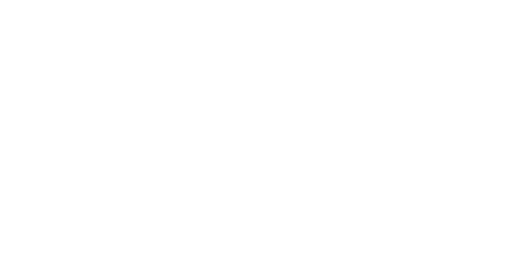 brands 17